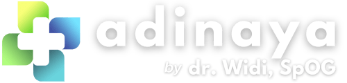 Logo Adinaya